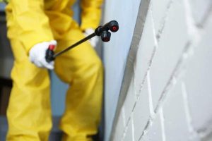 Where to Get Supernova Asbestos Surveys Asbestos Testing Near Me