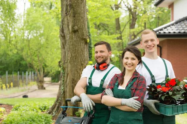 Affordable Lawn Care Services in Buford You Can Trust