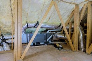 Professional Crawlspace Encapsulation Woodstock Services for Healthier Homes