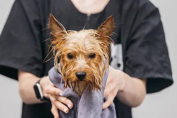 Emergency Water Heater Repairs: What You Need to Know