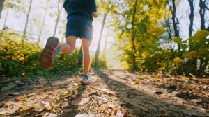 Are Herbal Chews Effective? A Detailed Consumer Breakdown