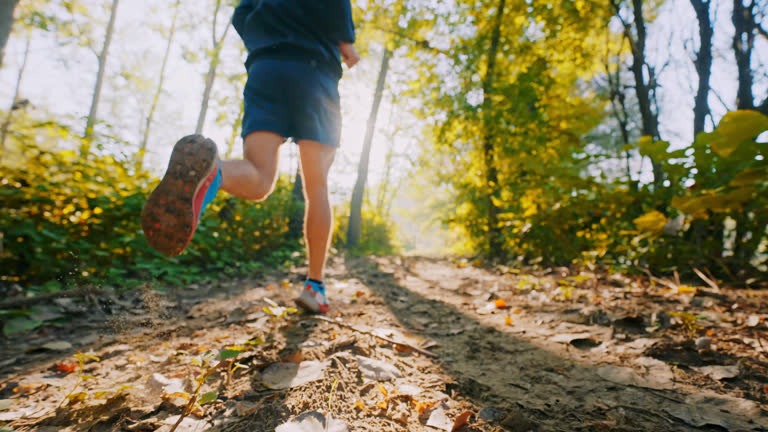 Are Herbal Chews Effective? A Detailed Consumer Breakdown