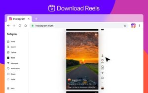 Instagram Downloader Tool: Save Posts, Reels & Stories HD Free