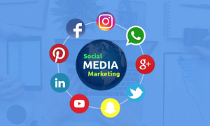 Understanding SMM World social media marketing for Online Audience Growth